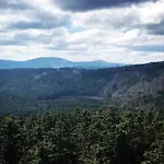 In *