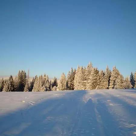 Apartment In The Middle Of Franconian Switzerland *